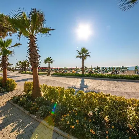Sunshine Qerret-golem Beach-self-check-in